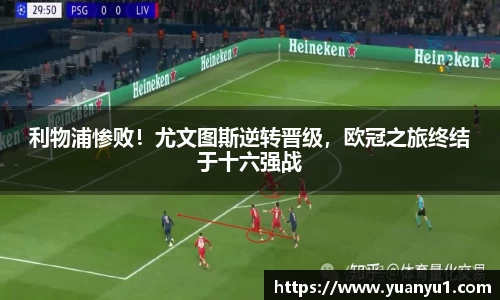 K8凯发下载