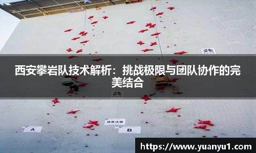 K8凯发下载